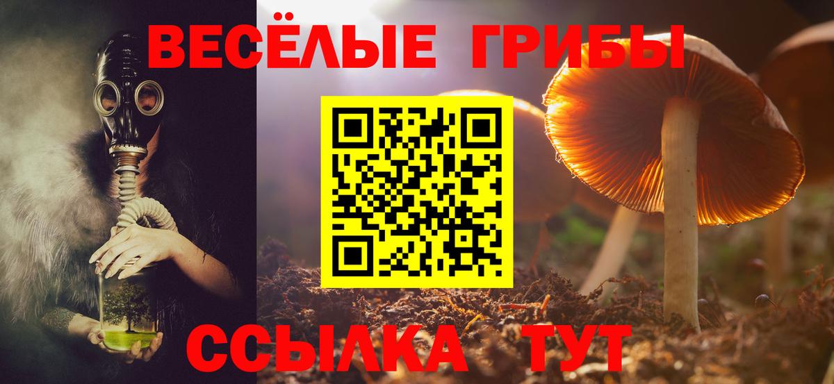 Галлюциногенные грибы GOLDEN TEACHER  Вход с VPN  Галлюциногенные грибы мицелий  Ейск 
